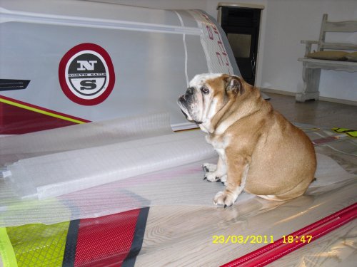 WARP F 2011 A PROVA DI BULLDOG - WINDSURFINGCLUB QSE